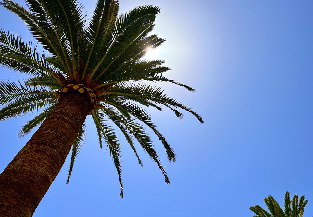 Studio in Nerja - Carabeo 26 Boutique Studio by Casasol 