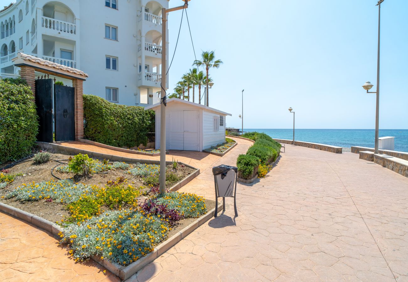 Appartement in Nerja - Stella Maris Beachfront 1J by Casasol 