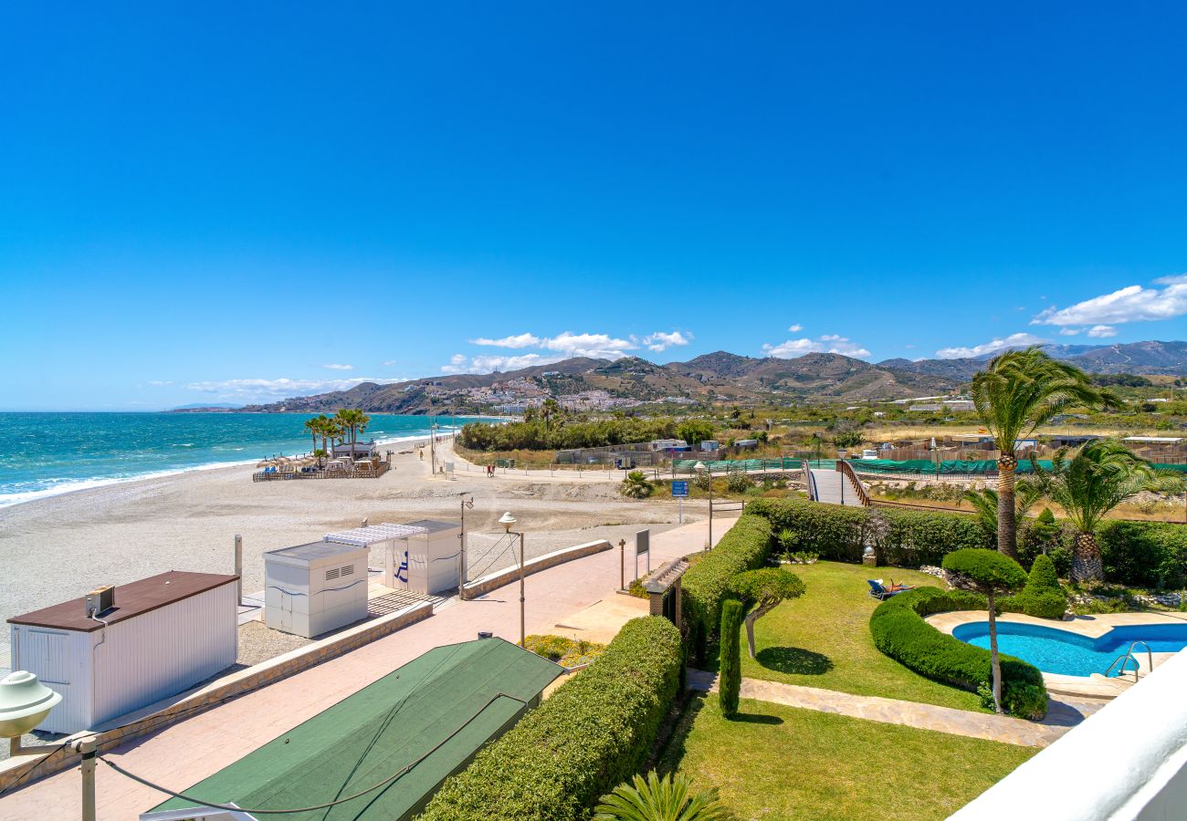 Appartement in Nerja - Stella Maris Beachfront 1J by Casasol 