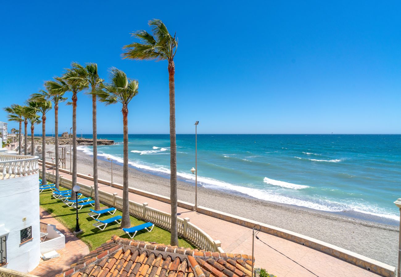 Appartement in Nerja - Stella Maris Beachfront 1J by Casasol 