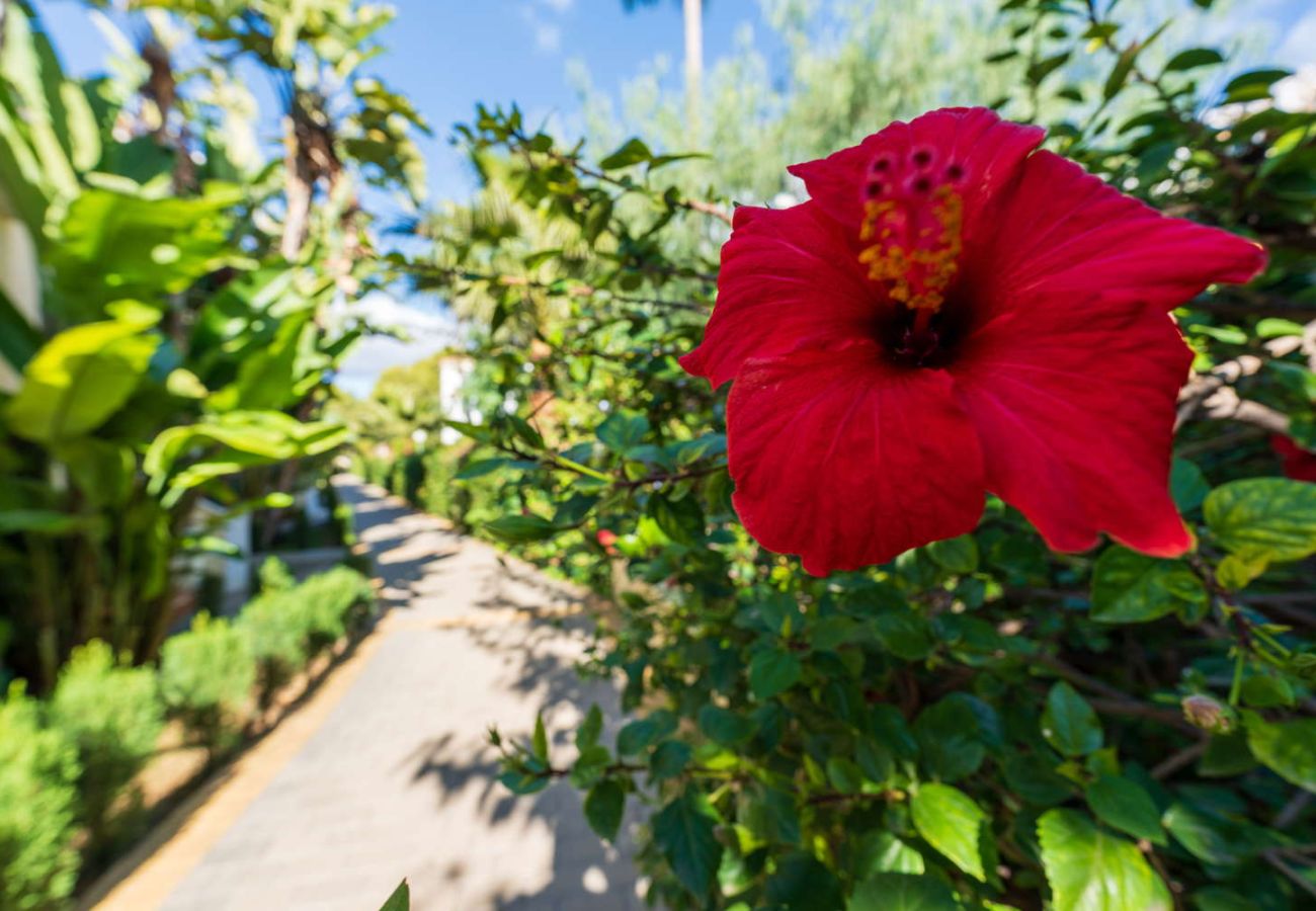 Rijhuis in Nerja - Jardines de Burriana Deluxe by Casasol