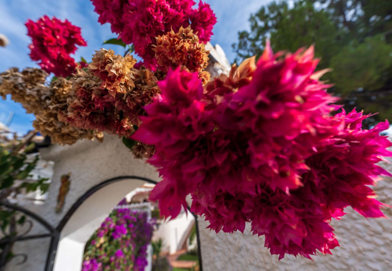 Appartement in Nerja - Casa Tranquila: Appartement met zeezicht in San Juan de Capistrano, Nerja