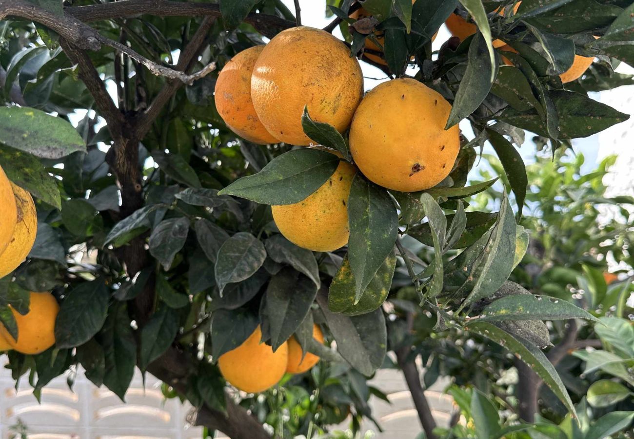 Villa in Nerja - Villa Jackson (La Casita): Villa met privézwembad in Fuente del Badén, Nerja