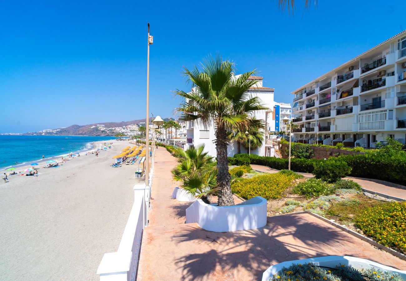 Uitzicht op het Torrecilla-strand en de omliggende gebouwen vanaf de omgeving van Arce 2 in Nerja.